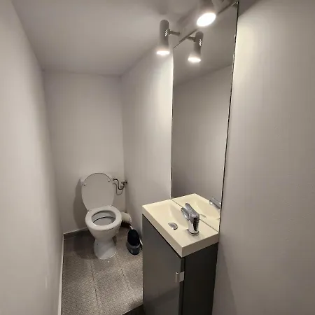 Apartament House 2-level Ultracentral *